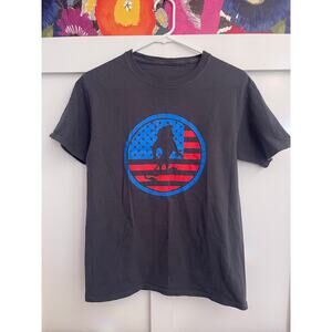 American Flag with Lion graphic tee